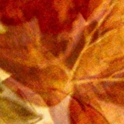 5fe1d5_94d72d7db78a4cc5890033b461ea3589~mv2