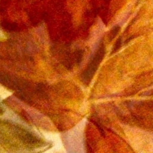 5fe1d5_94d72d7db78a4cc5890033b461ea3589~mv2