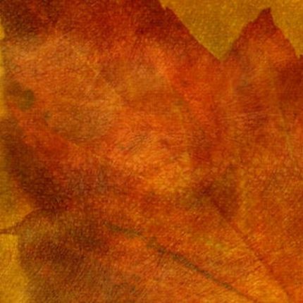 5fe1d5_a692508a3dba4e4b8ee3e133ab2a3f27~mv2