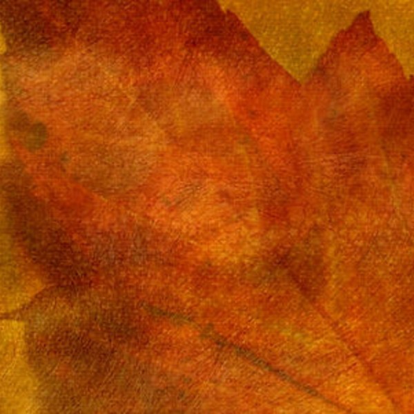 5fe1d5_a692508a3dba4e4b8ee3e133ab2a3f27~mv2